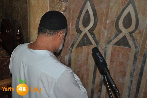 trawe7 mahmodiya 713 (16).JPG